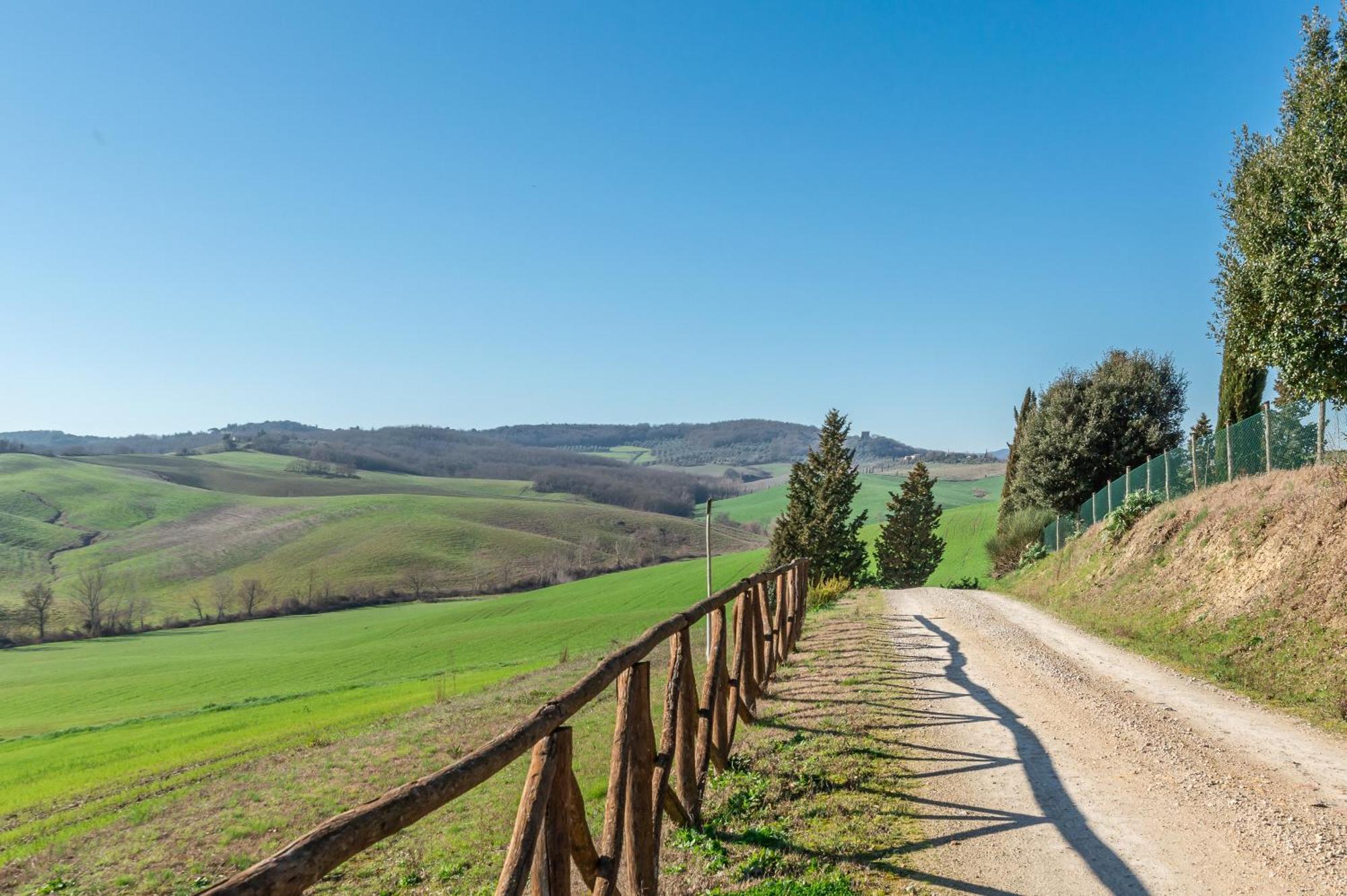 Sunflower Con Vista Su Siena * Corsano (Tuscany)