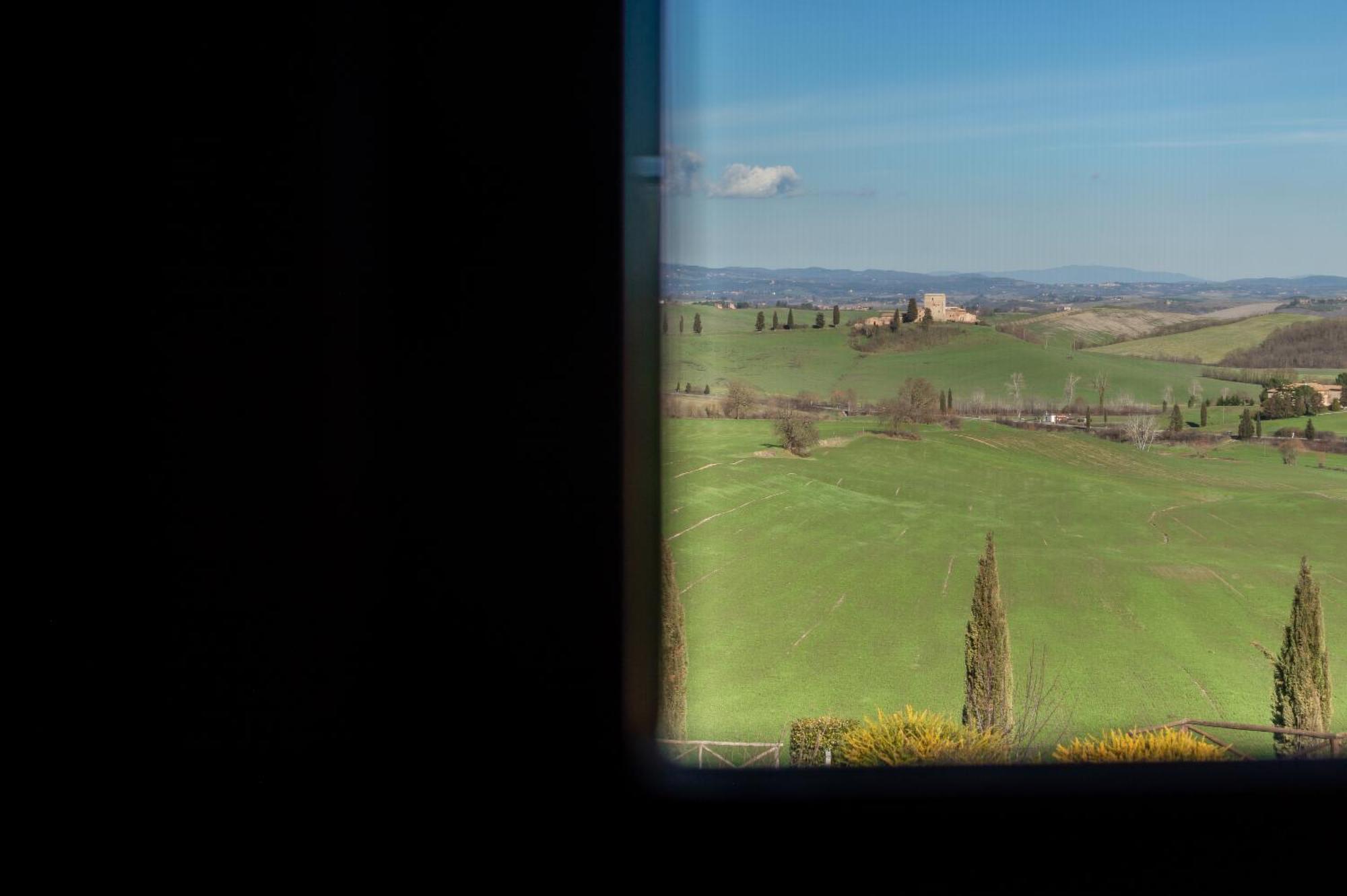 Sunflower Con Vista Su Siena Corsano (Tuscany)